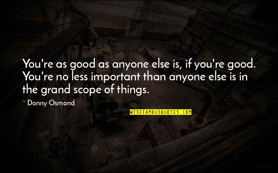 If You're Important Quotes By Donny Osmond: You're as good as anyone else is, if