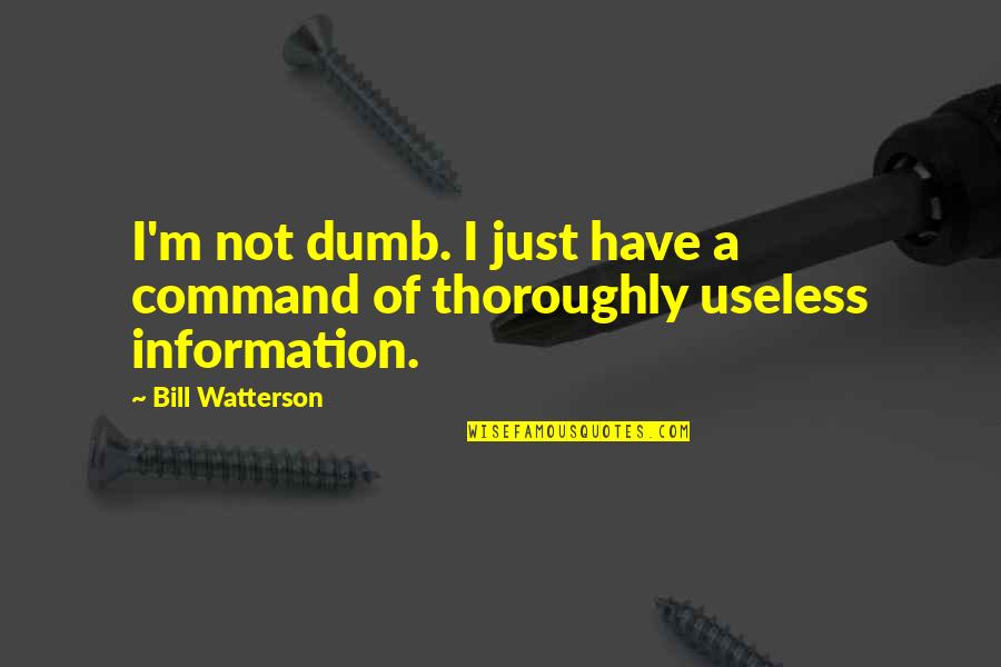 Ifeyinwa Okocha Quotes By Bill Watterson: I'm not dumb. I just have a command