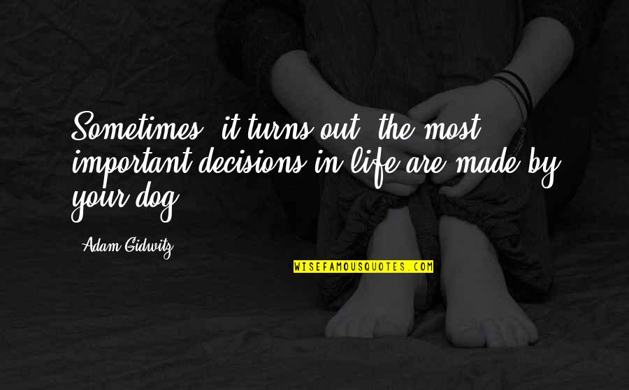Iffat Sehar Quotes By Adam Gidwitz: Sometimes, it turns out, the most important decisions