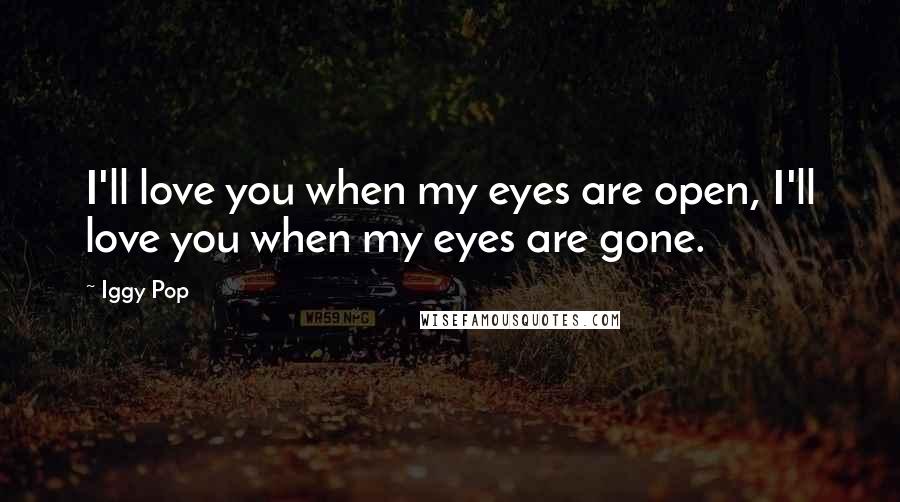 Iggy Pop quotes: I'll love you when my eyes are open, I'll love you when my eyes are gone.