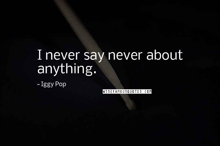 Iggy Pop quotes: I never say never about anything.