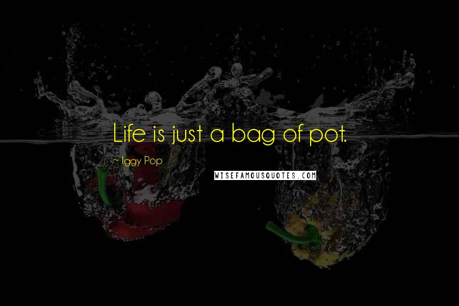 Iggy Pop quotes: Life is just a bag of pot.