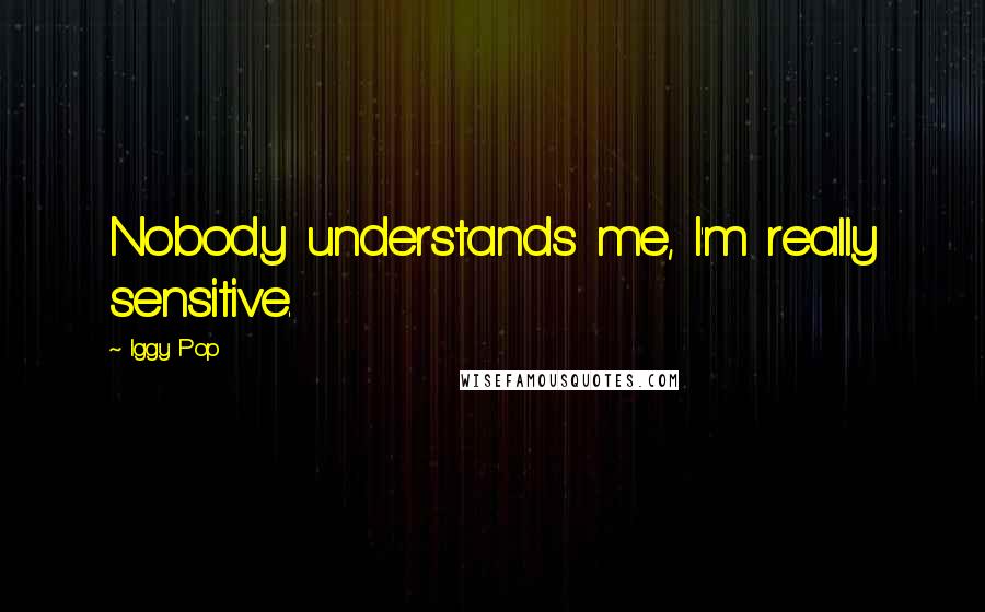 Iggy Pop quotes: Nobody understands me, I'm really sensitive.