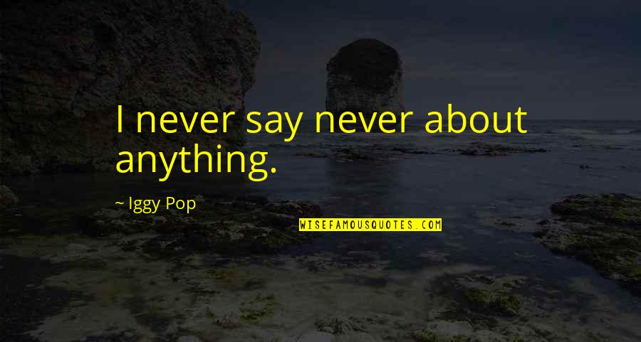 Iggy Pop Quotes By Iggy Pop: I never say never about anything.