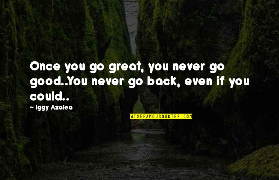 Iggy Quotes By Iggy Azalea: Once you go great, you never go good..You