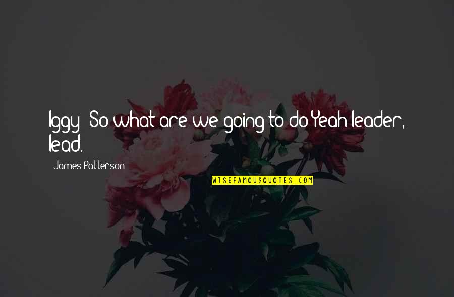 Iggy Quotes By James Patterson: Iggy: So what are we going to do?Yeah