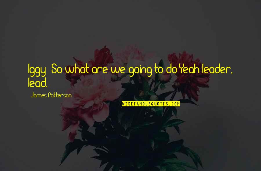 Iggy's Quotes By James Patterson: Iggy: So what are we going to do?Yeah
