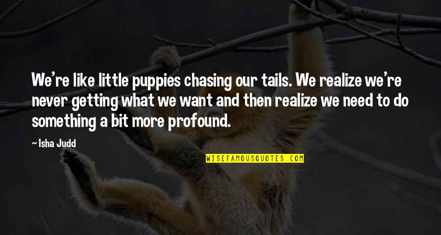 Igi 3 Quotes By Isha Judd: We're like little puppies chasing our tails. We Igi 3 Quotes By Isha Judd: We're like little puppies chasing our tails. We