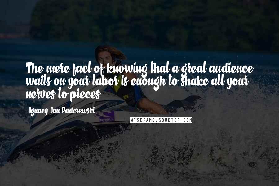 Ignacy Jan Paderewski quotes: The mere fact of knowing that a great audience waits on your labor is enough to shake all your nerves to pieces.