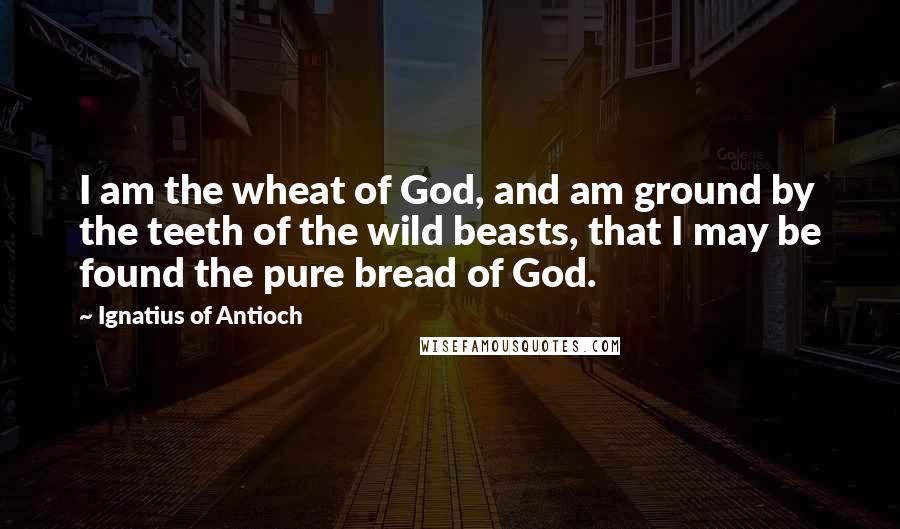 Ignatius Of Antioch quotes: I am the wheat of God, and am ground by the teeth of the wild beasts, that I may be found the pure bread of God. Ignatius Of Antioch quotes: I am the wheat of God, and am ground by the teeth of the wild beasts, that I may be found the pure bread of God.