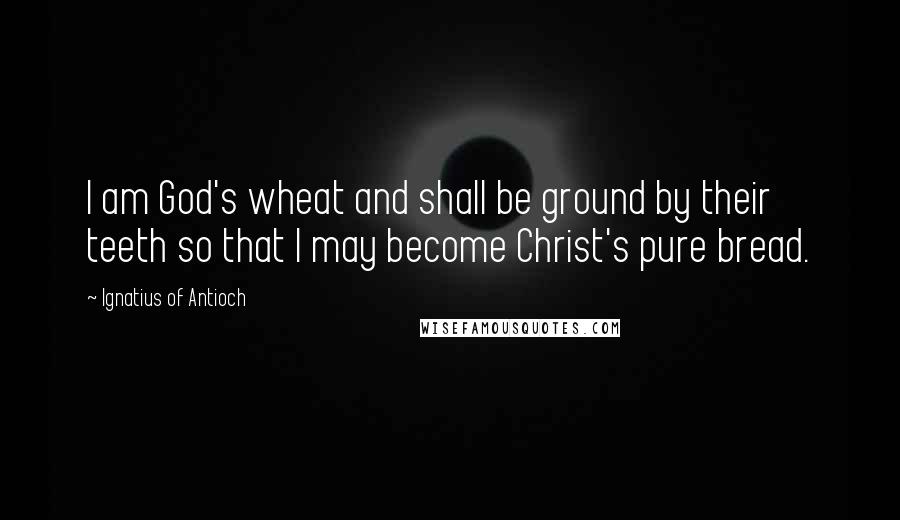 Ignatius Of Antioch quotes: I am God's wheat and shall be ground by their teeth so that I may become Christ's pure bread.