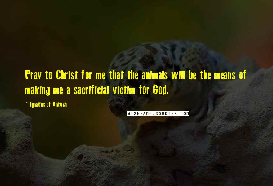 Ignatius Of Antioch quotes: Pray to Christ for me that the animals will be the means of making me a sacrificial victim for God.
