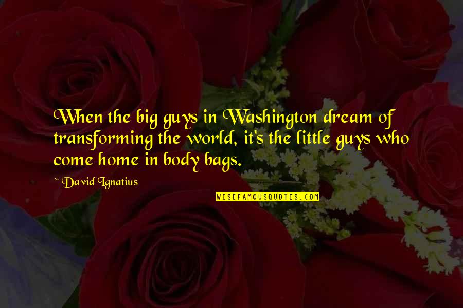 Ignatius's Quotes By David Ignatius: When the big guys in Washington dream of