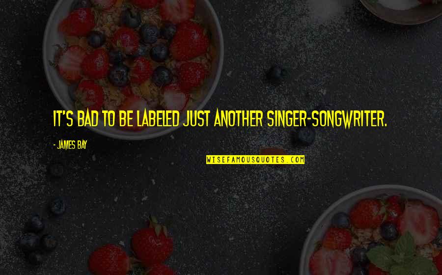 Ignite Leadership Quotes By James Bay: It's bad to be labeled just another singer-songwriter.