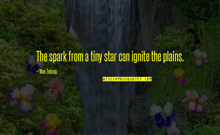 Ignite Quotes By Mao Zedong: The spark from a tiny star can ignite