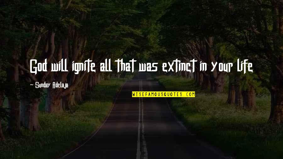 Ignite Quotes By Sunday Adelaja: God will ignite all that was extinct in