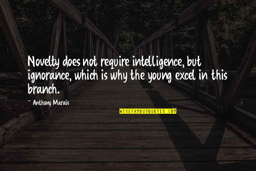 Ignorance And Intelligence Quotes By Anthony Marais: Novelty does not require intelligence, but ignorance, which