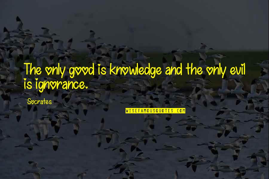 Ignorance And Knowledge Quotes By Socrates: The only good is knowledge and the only