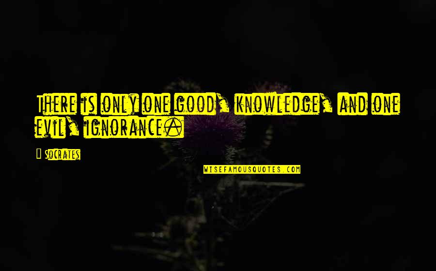 Ignorance And Knowledge Quotes By Socrates: There is only one good, knowledge, and one