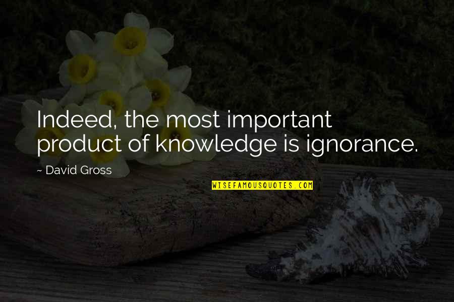 Ignorance Is Quotes By David Gross: Indeed, the most important product of knowledge is