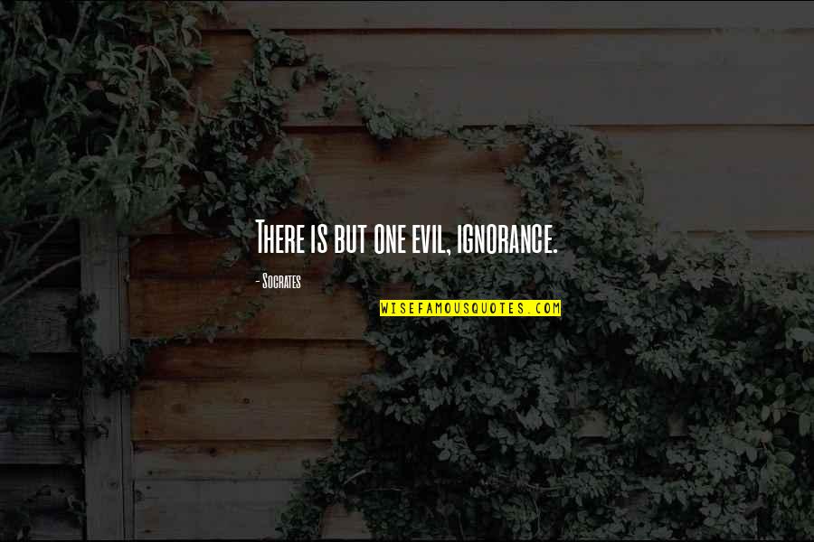 Ignorance Socrates Quotes By Socrates: There is but one evil, ignorance.
