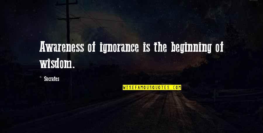 Ignorance Socrates Quotes By Socrates: Awareness of ignorance is the beginning of wisdom.