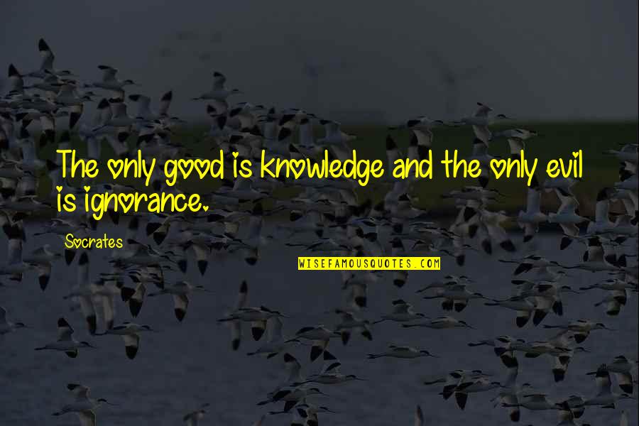 Ignorance Socrates Quotes By Socrates: The only good is knowledge and the only
