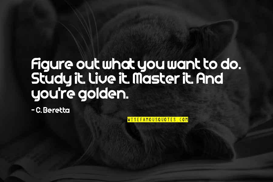 Ignore Society Quotes By C. Beretta: Figure out what you want to do. Study