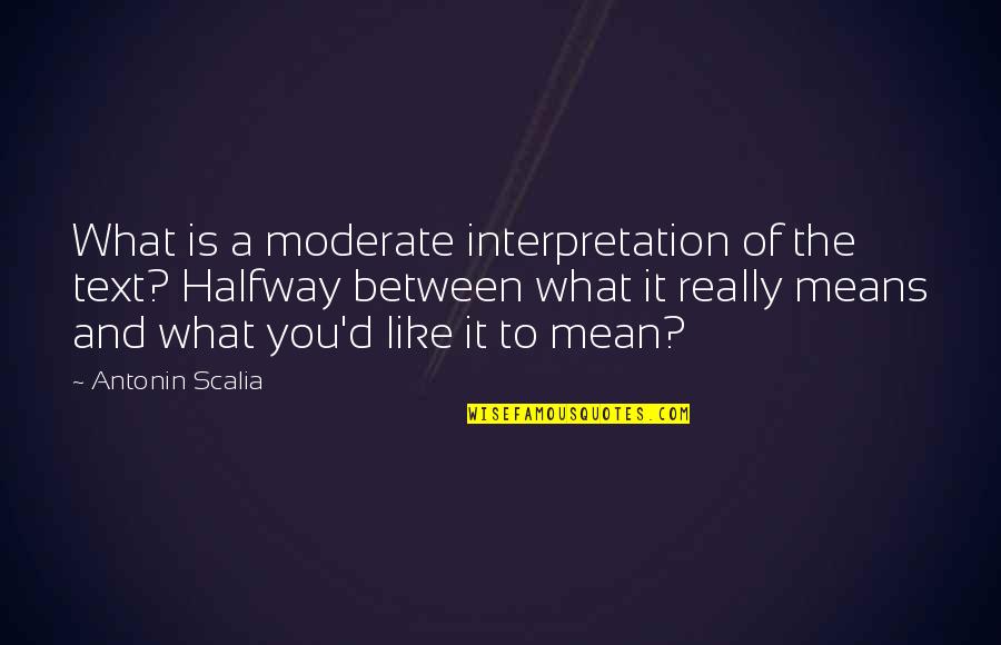 Ignoring Bad Things Quotes By Antonin Scalia: What is a moderate interpretation of the text?