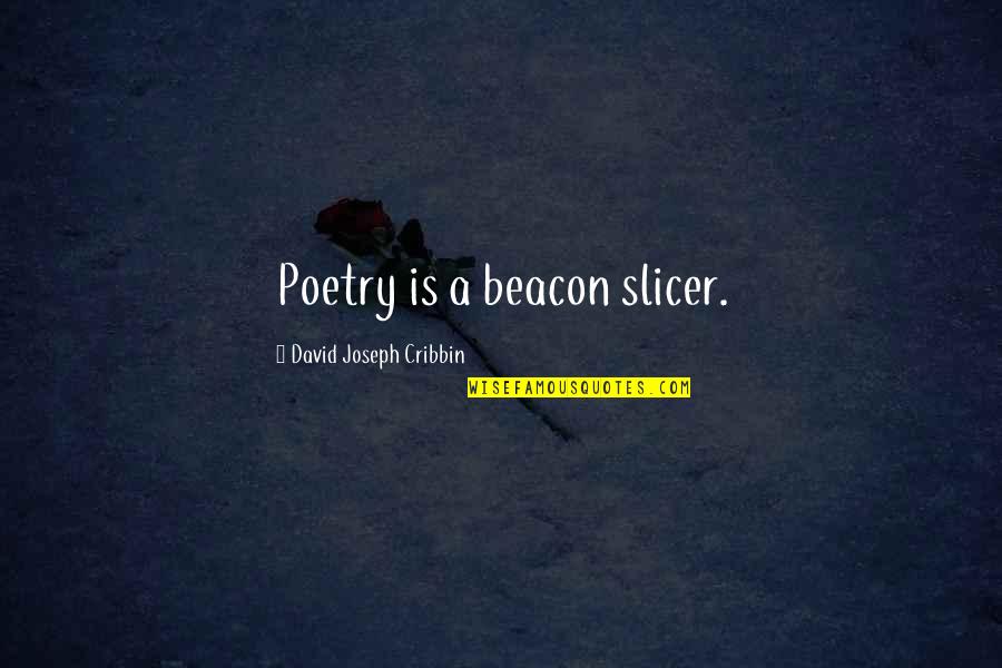 Ignoring Family Quotes By David Joseph Cribbin: Poetry is a beacon slicer. Ignoring Family Quotes By David Joseph Cribbin: Poetry is a beacon slicer.