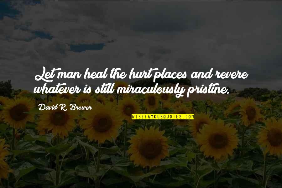 Ignoto Quotes By David R. Brower: Let man heal the hurt places and revere