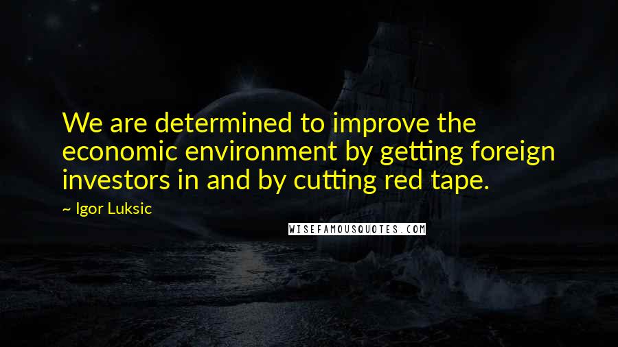 Igor Luksic quotes: We are determined to improve the economic environment by getting foreign investors in and by cutting red tape.