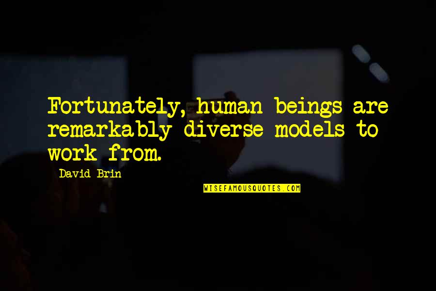 Igualdade Social Quotes By David Brin: Fortunately, human beings are remarkably diverse models to