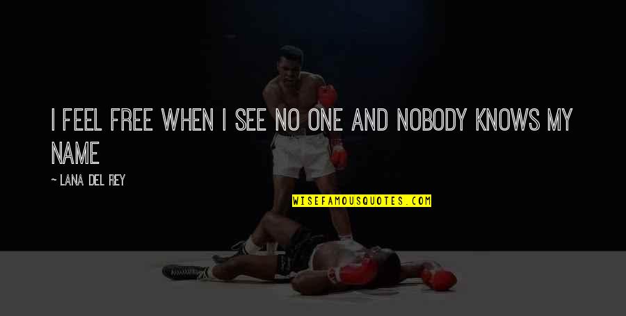 Igualitarismo Quotes By Lana Del Rey: I feel free when I see no one
