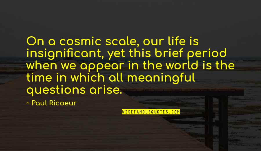 Ihsan Yilmaz Quotes By Paul Ricoeur: On a cosmic scale, our life is insignificant,