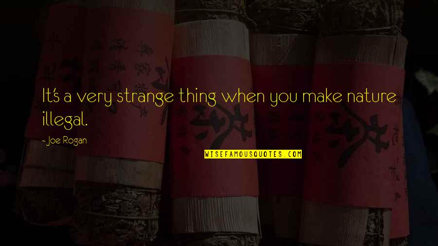 Iife Quotes By Joe Rogan: It's a very strange thing when you make