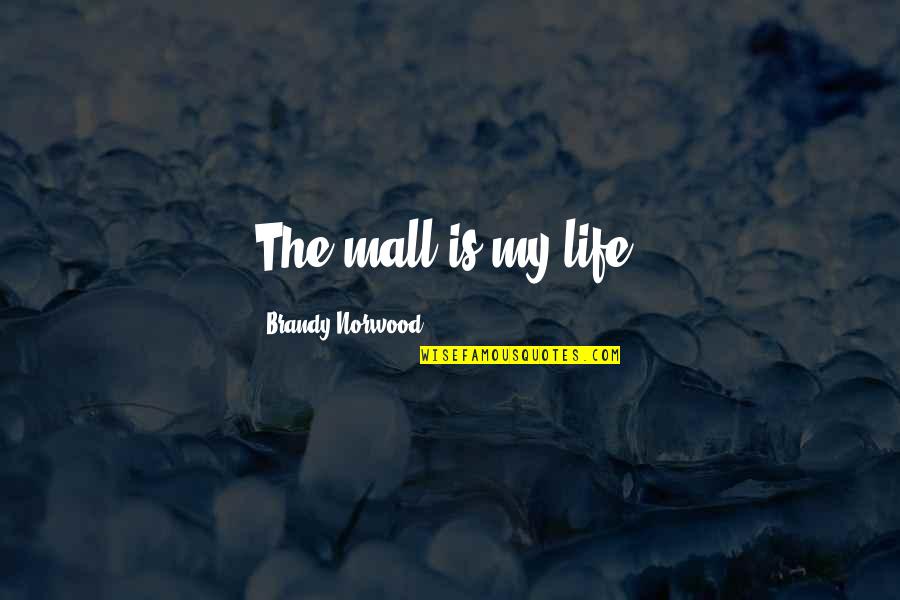 Ikaw Lang Walang Iba Quotes By Brandy Norwood: The mall is my life.