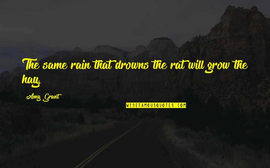 Ikwanitsha Quotes By Amy Grant: The same rain that drowns the rat will