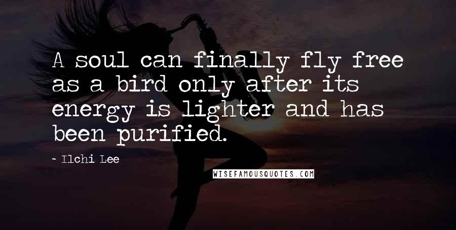 Ilchi Lee quotes: A soul can finally fly free as a bird only after its energy is lighter and has been purified.