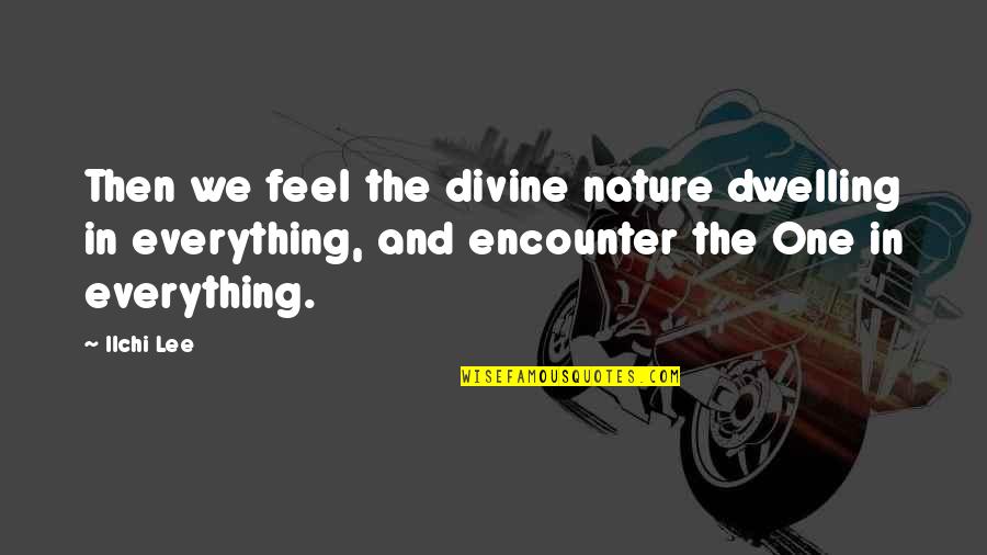 Ilchi Quotes By Ilchi Lee: Then we feel the divine nature dwelling in