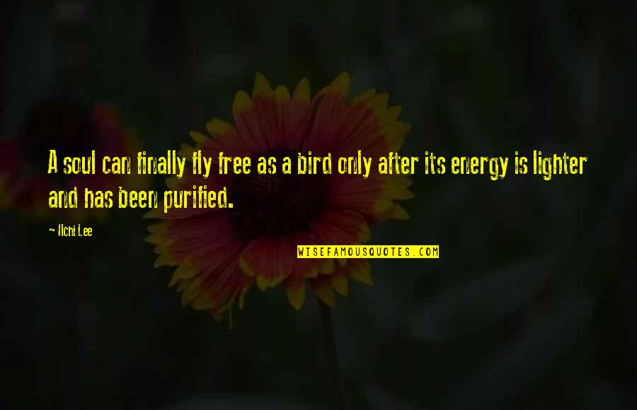 Ilchi Quotes By Ilchi Lee: A soul can finally fly free as a