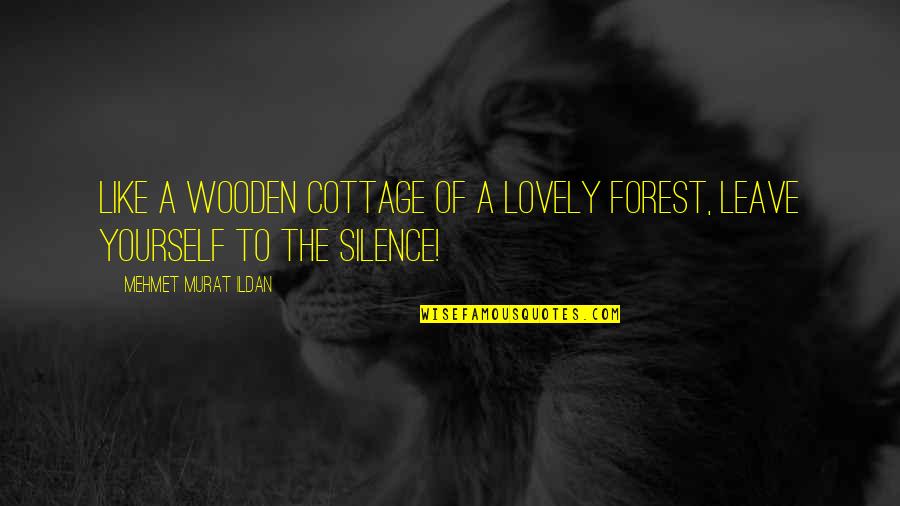 Ildan Quotes By Mehmet Murat Ildan: Like a wooden cottage of a lovely forest,