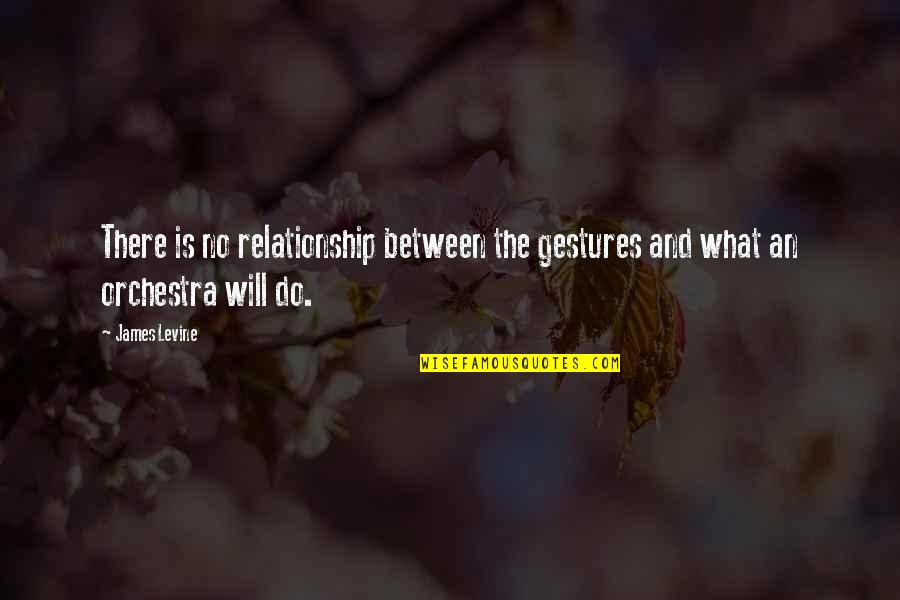 Ilektra Kolokouri Quotes By James Levine: There is no relationship between the gestures and