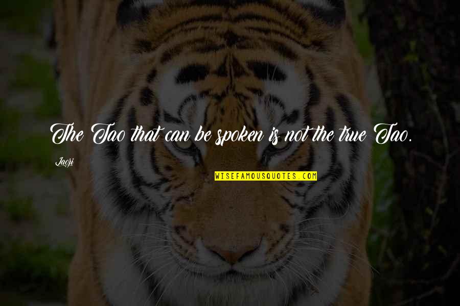 Ilektra Papadaki Quotes By Laozi: The Tao that can be spoken is not