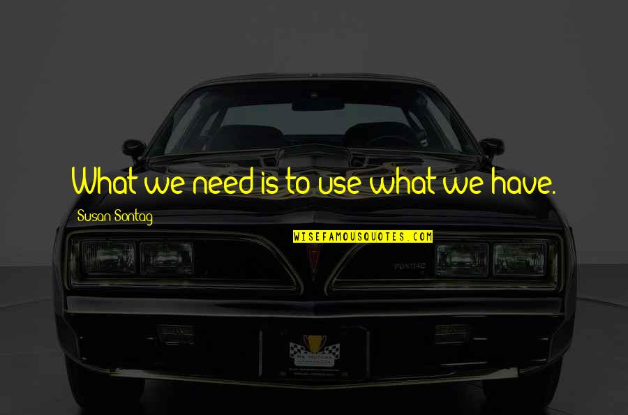 Ilgesys Vikipedija Quotes By Susan Sontag: What we need is to use what we Ilgesys Vikipedija Quotes By Susan Sontag: What we need is to use what we