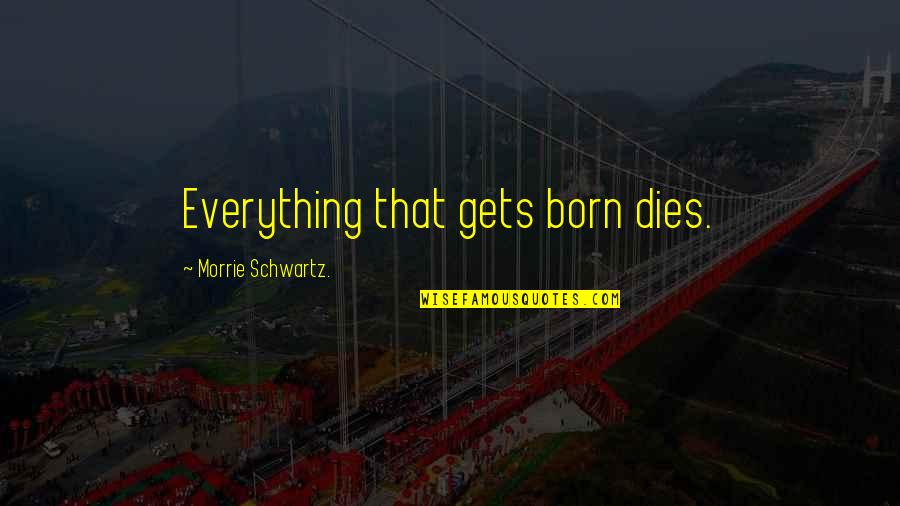 Ilginin Es Quotes By Morrie Schwartz.: Everything that gets born dies.