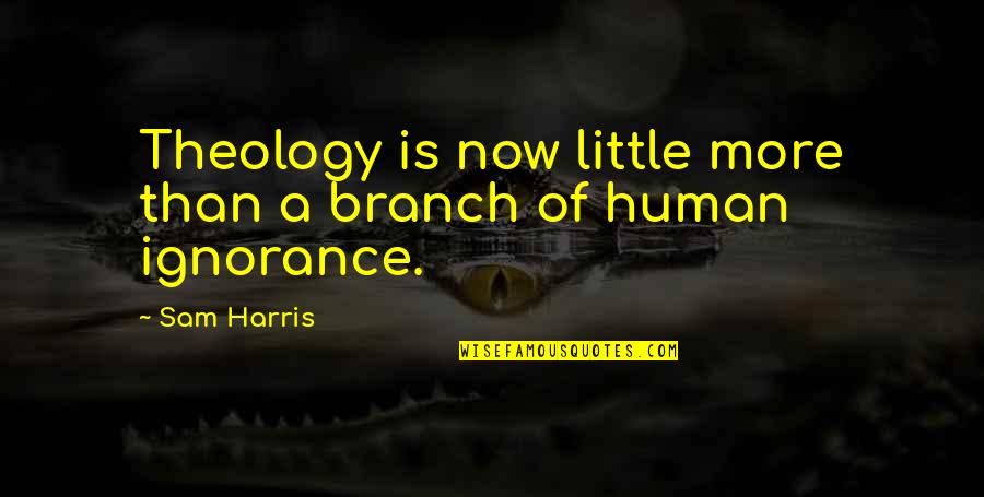 Iliuzija Quotes By Sam Harris: Theology is now little more than a branch