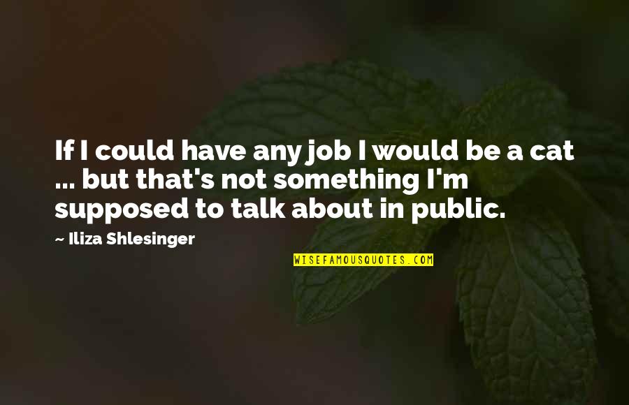 Iliza Shlesinger Quotes By Iliza Shlesinger: If I could have any job I would