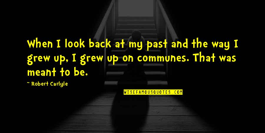 I'll Be Back Quotes By Robert Carlyle: When I look back at my past and