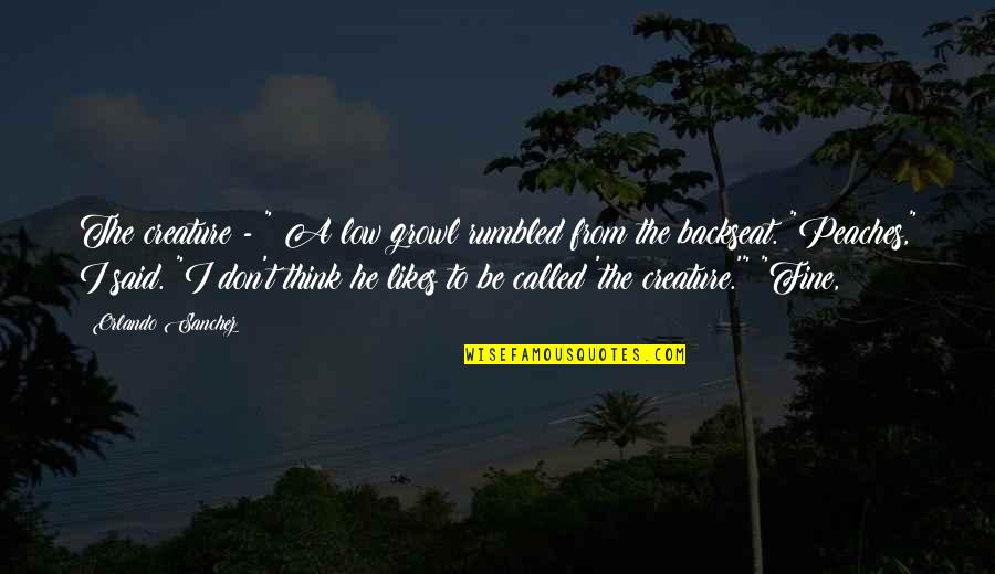 I'll Be Fine Quotes By Orlando Sanchez: The creature - " A low growl rumbled I'll Be Fine Quotes By Orlando Sanchez: The creature - " A low growl rumbled